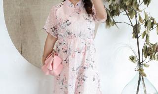 我的老婆是胖妞