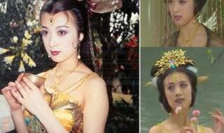 广场舞孔雀公主背面