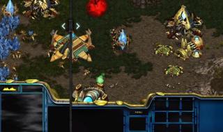 一朵花开百花杀全文