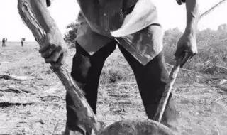 亚克西是什么意思 亚克西是什么意思