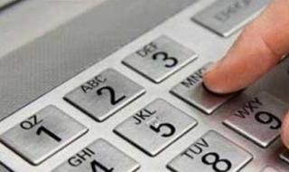 知否知否蚂蚁庄园