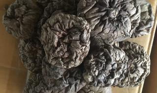 浙江中国香菇之乡 浙江中国香菇之乡