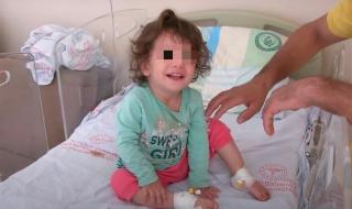 女童遭蛇咬后咬死蛇 女童遭蛇咬后咬死蛇