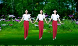 你是我的天籁广场舞 你是我的天籁广场舞