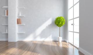 网课虚拟背景图 网课虚拟背景图