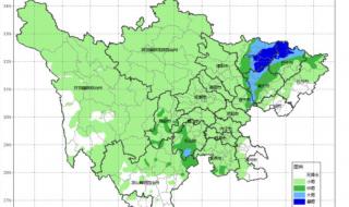 实拍成都大风来袭 实拍成都大风来袭