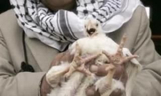 福岛核污水泄漏原因