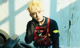 nct中国成员 nct中国成员