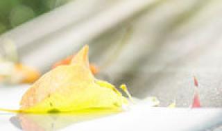 鸭子简笔画 鸭子简笔画