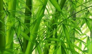 亿像素照片 亿像素照片