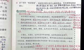 祖父的园子课堂笔记 祖父的园子课堂笔记