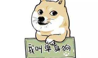 中国单身人口超2亿