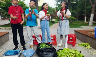 合肥学院新校区地址