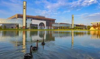 东阿阿胶股份有限公司 东阿阿胶股份有限公司