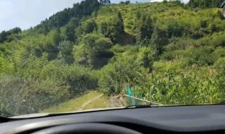 人生很贵请别浪费 人生很贵请别浪费