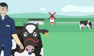 飞行训练熟悉赛道 飞行训练熟悉赛道