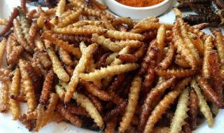 云南十大最毒虫子 云南十大最毒虫子