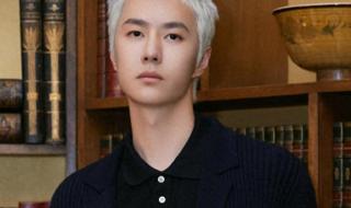 王一博回应骨头项链 王一博回应骨头项链